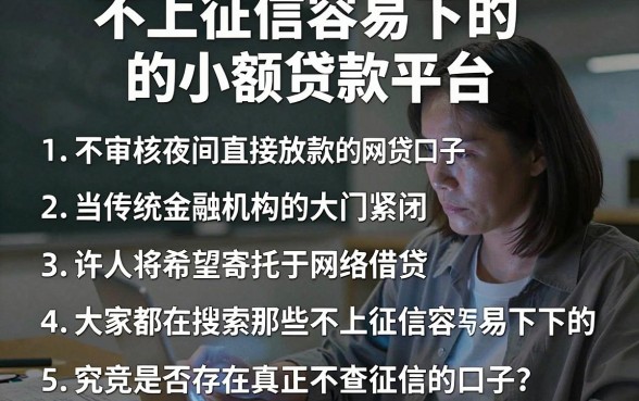 不上征信容易下的小额贷款平台,条列5个不审核夜间直接放款的网贷口子