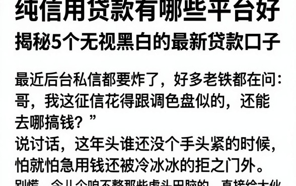 纯信用贷款有哪些平台好,揭秘5个无视黑白的最新贷款口子