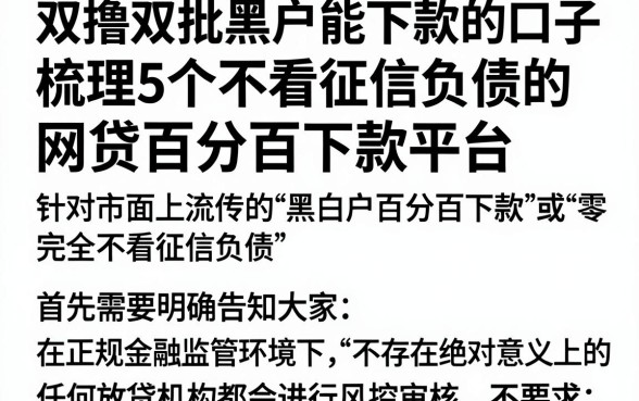 双撸双批黑白户能下款的口子,梳理5个不看征信负债的网贷百分百下款平台