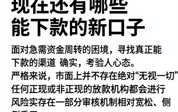 现在还有哪些能下款的新口子，规整五个无视一切是人就下款的平台