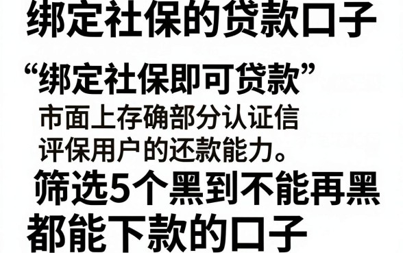 绑定社保的贷款口子，筛选5个黑到不能再黑都能下款的口子