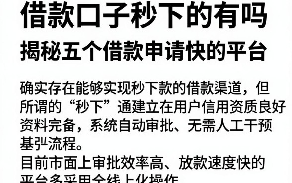 借款口子秒下的有吗,揭秘五个借款申请快的平台