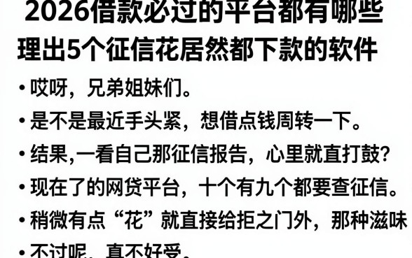 2026借款必过的平台都有哪些，理出5个征信花居然都下款的软件