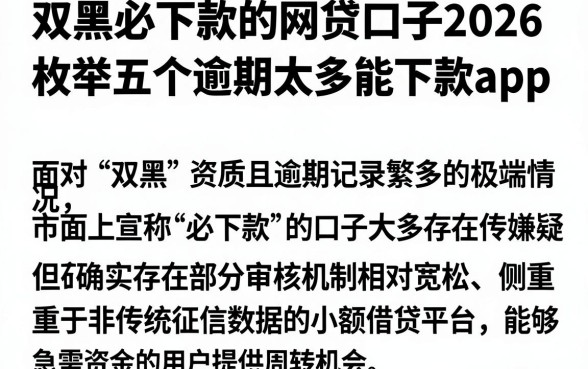 双黑必下款的网贷口子2026,枚举五个逾期太多能下款app