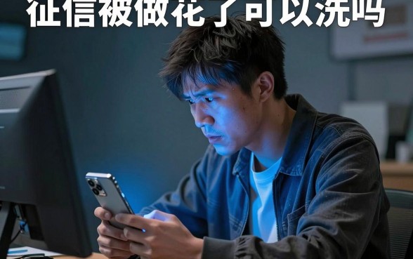 征信被做花了可以洗吗，甄选五个不审核夜间直接放款的网贷口子