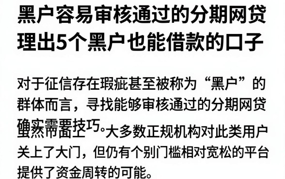 黑户容易审核通过的分期网贷,理出5个黑户也能借款的口子