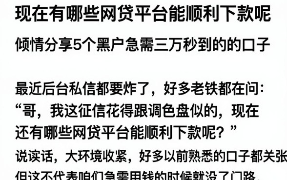 现在有哪些网贷平台能顺利下款呢，倾情分享5个黑户急需三万秒到的的口子