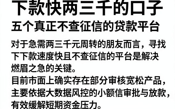 下款快两三千的口子,细致阐述五个真正不查征信的贷款平台