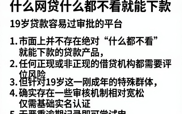 什么网贷什么都不看就能下款,条列五个19岁贷款容易过审批的平台