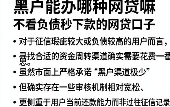 黑户能办哪种网贷嘛，规整五个不看负债秒下款的网贷口子