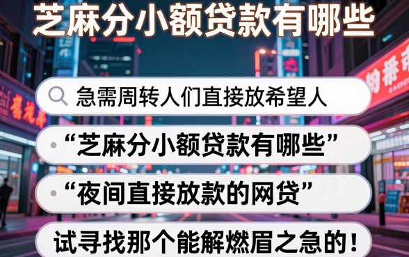 芝麻分小额贷款有哪些，整合5个不审核夜间直接放款的网贷平台
