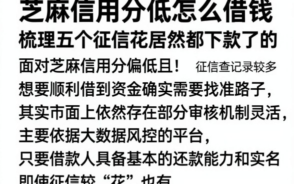 芝麻信用分低怎么借钱,梳理五个征信花居然都下款了的软件