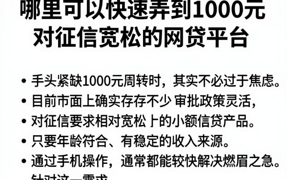 哪里可以快速弄到1000元，理出5个对征信宽松的网贷平台