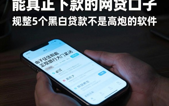 能真正下款的网贷口子,规整5个黑白贷款不是高炮的软件