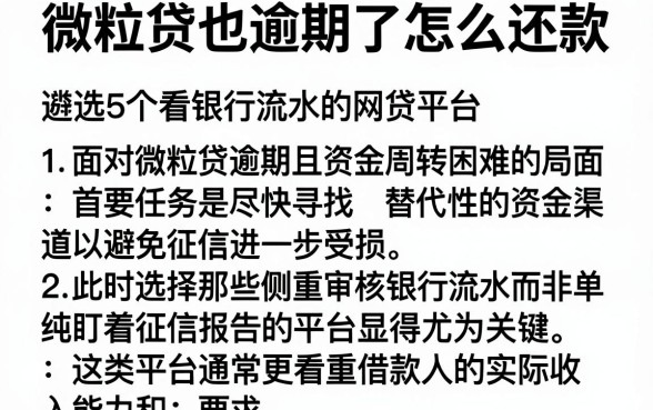 微粒贷也逾期了怎么还款,遴选5个看银行流水的网贷平台