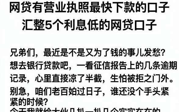 网贷有营业执照最快下款的口子，汇整5个利息低的网贷口子