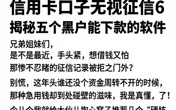 信用卡口子无视征信6，揭秘五个黑户能下款的软件