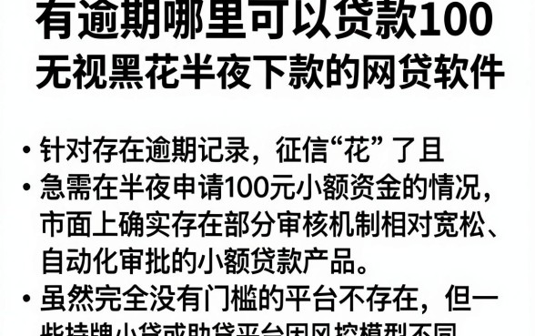 有逾期哪里可以贷款100，规整5个无视黑花半夜下款的网贷软件