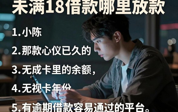 未满18借款哪里放款，规整5个有逾期借款容易通过的平台