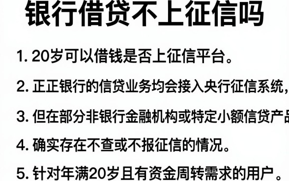 银行借贷不上征信吗,条列5个20岁可以借钱平台不查征信的平台