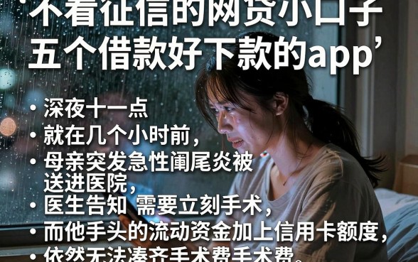 不看征信的网贷小口子,详尽说明五个借款好下款的app