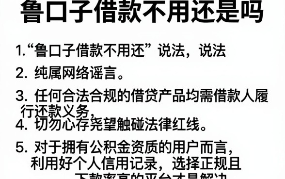 鲁口子借款不用还是吗，规整5个公积金快速贷款app