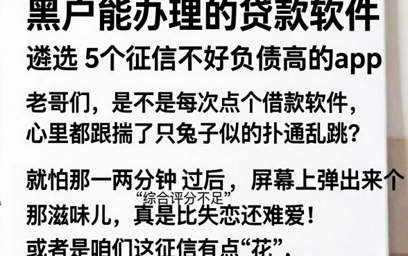 黑户能办理的贷款软件,遴选5个征信不好负债高的app