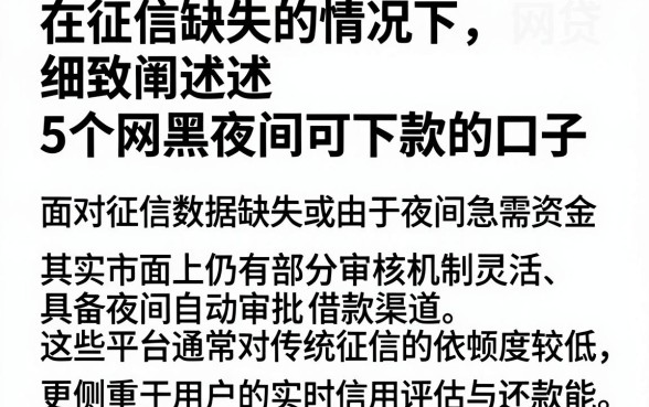 在征信缺失的情况下，细致阐述5个网黑夜间可下款的口子