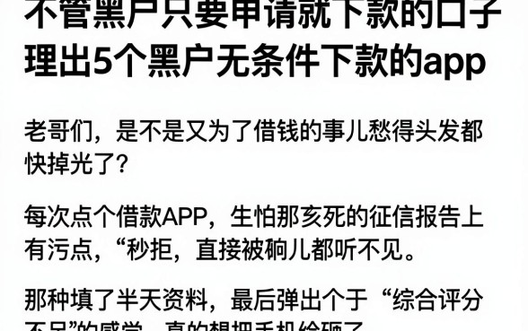 不管黑户只要申请就下款的口子,理出5个黑户无条件下款的app