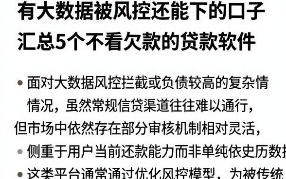 有大数据被风控还能下的口子，汇总5个不看欠款的贷款软件