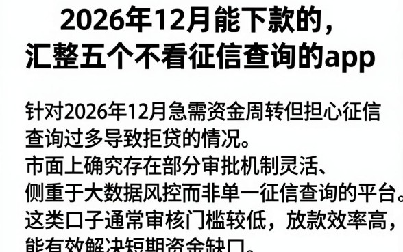 2026年12月能下款的,汇整五个不看征信查询的app