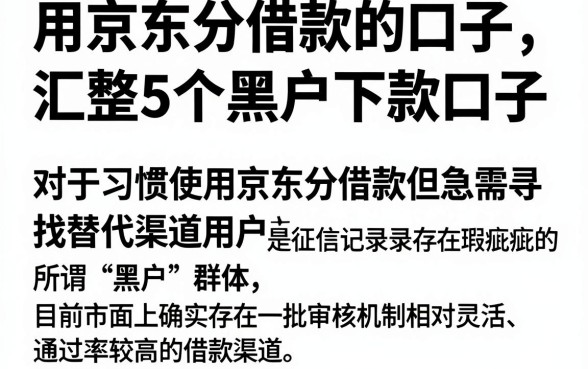 用京东分借款的口子，汇整5个黑户下款口子