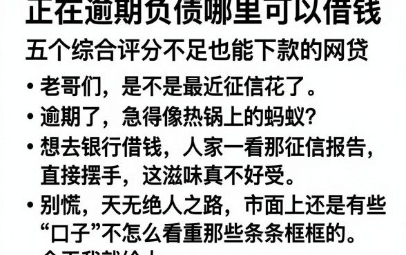 正在逾期负债哪里可以借钱,胪列五个综合评分不足也能下款的网贷