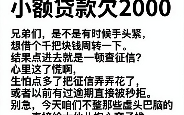小额贷款欠2000，遴选5个真正无视风控黑白的网贷app