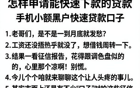怎样申请能快速下款的贷款，细致阐述5个手机小额黑户快速贷款口子