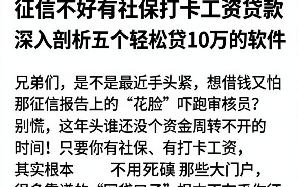 征信不好有社保打卡工资贷款，深入剖析五个轻松贷10万的软件