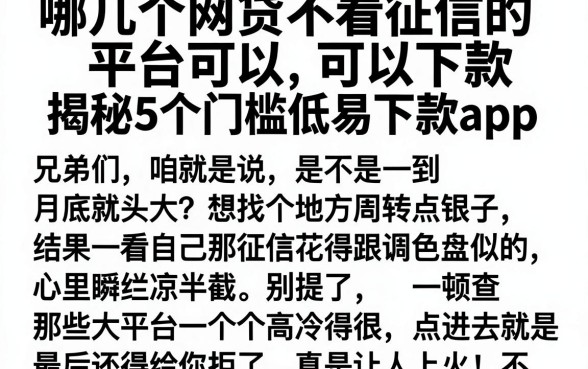 哪几个网贷不看征信的平台可以下款,揭秘5个门槛低易下款app