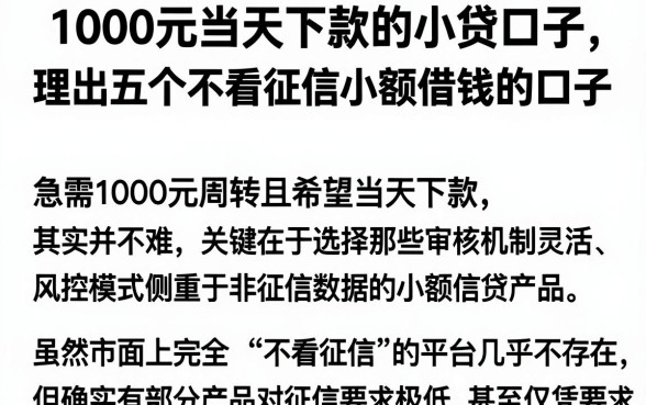 1000元当天下款的小贷口子,理出五个不看征信小额借钱的口子