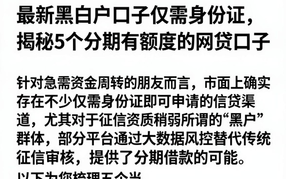 最新黑白户口子仅需身份证,揭秘5个分期有额度的网贷口子