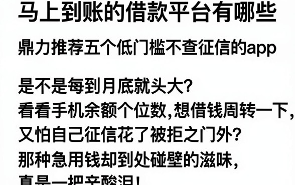 马上到账的借款平台有哪些，鼎力推荐五个低门槛不查征信的app