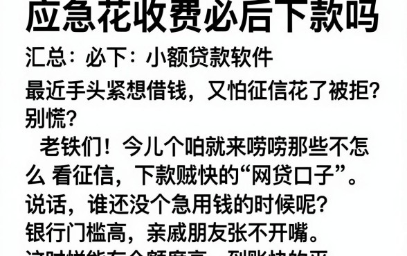 应急花收费必后下款吗,汇总5个必下的小额贷款软件