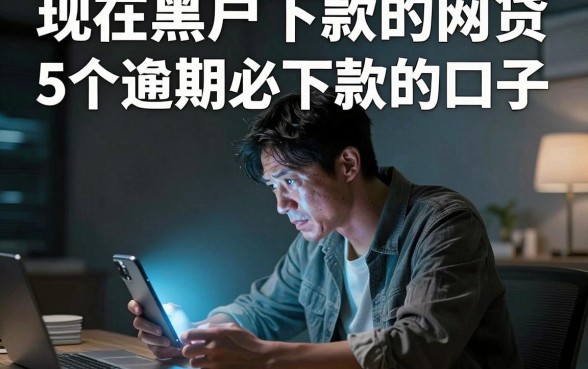 现在黑户下款的网贷,详尽说明5个逾期必下款的口子