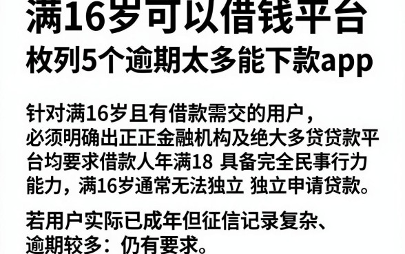 满16岁可以借钱平台,枚举5个逾期太多能下款app