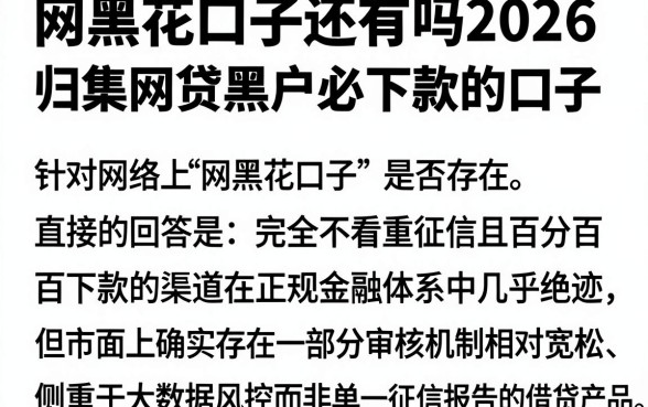 网黑花口子还有吗2026,归集五个网贷黑户必下款的口子