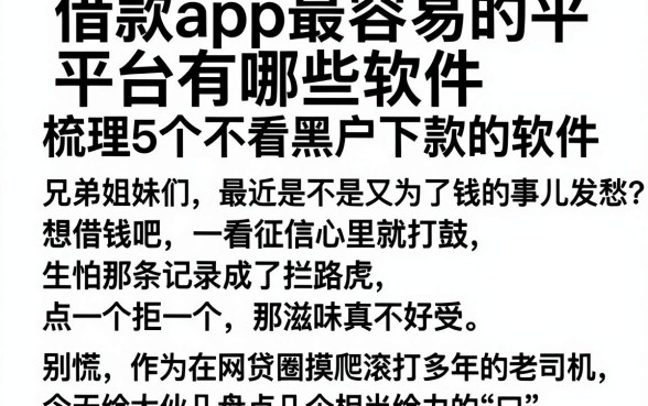 借款app最容易的平台有哪些软件，梳理5个不看黑户下款的软件