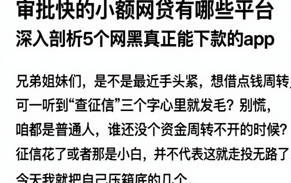 审批快的小额网贷有哪些平台，深入剖析5个网黑真正能下款的app