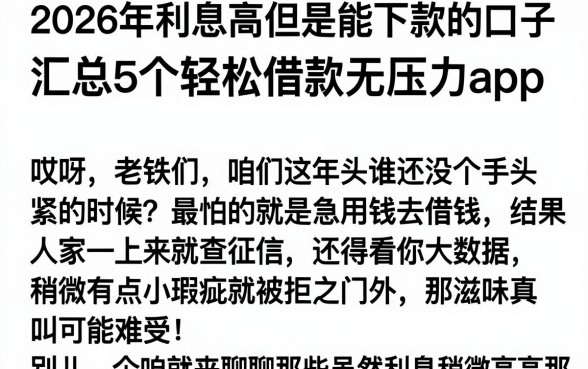 2026年利息高但是能下款的口子，汇总5个轻松借款无压力app