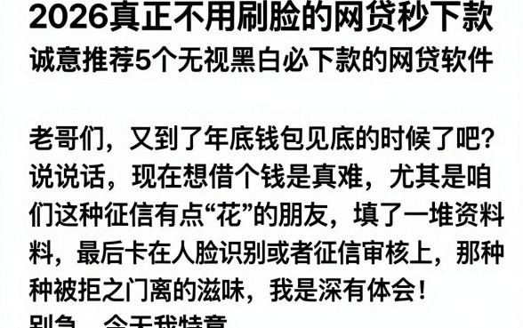 2026真正不用刷脸的网贷秒下款,诚意推荐5个无视黑白必下款的网贷软件