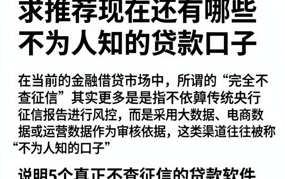 求推荐现在还有哪些不为人知的贷款口子，详尽说明5个真正不查征信的贷款软件