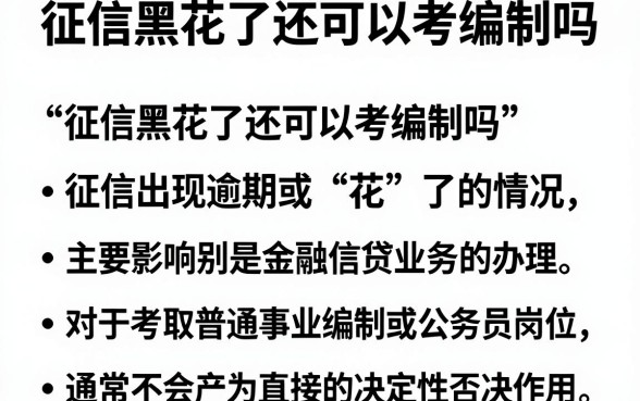 征信黑花了还可以考编制吗，汇总五个不看征信网贷平台放款快的软件